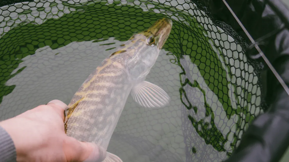 How to Use a Fishing Net for Safe Catch and Release
