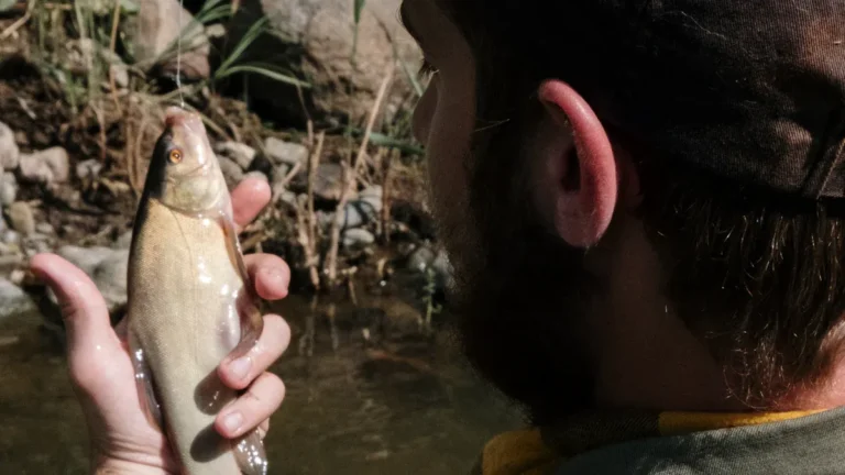 Fishing Ethics: How to Fish Responsibly