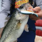 How to Use Fish Finders for Better Results