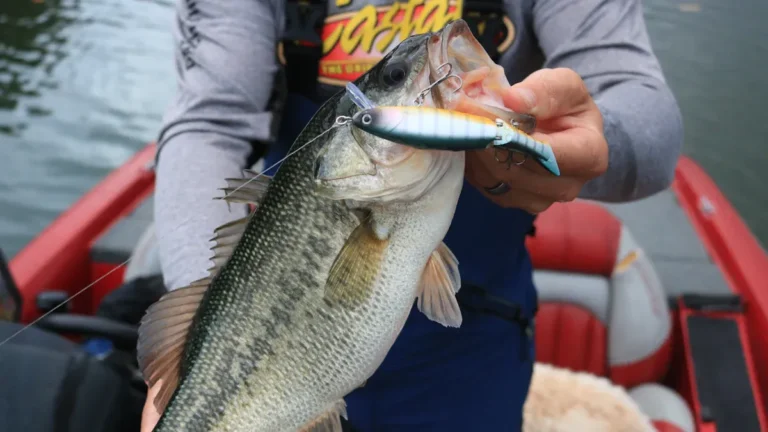 How to Use Fish Finders for Better Results