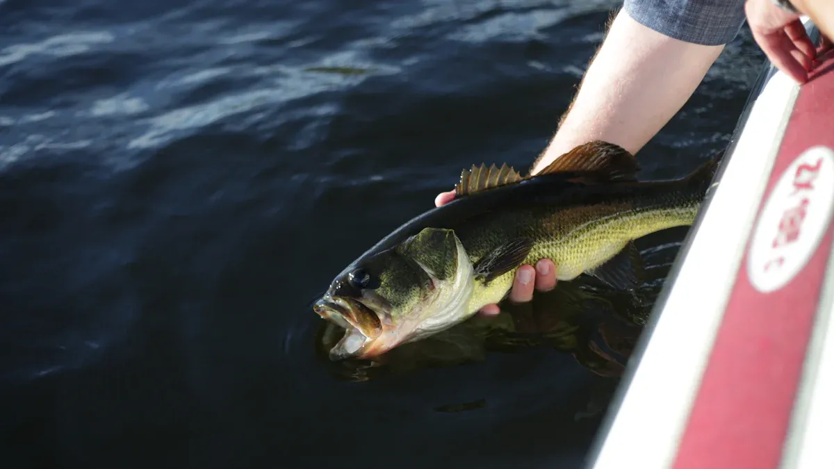 Essential Fishing Tips for Techniques