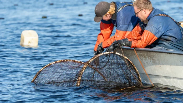 Essential Fishing Techniques for Saltwater Fishing