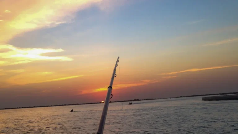 How to Choose the Best Fishing Spot for Beginners