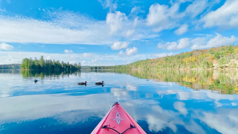 How to Plan a Successful Kayak Fishing Trip