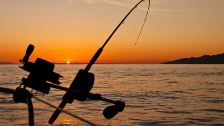 Top 10 Fishing Seasons and What to Expect