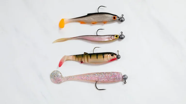 How to Choose the Right Fishing Lure for the Season