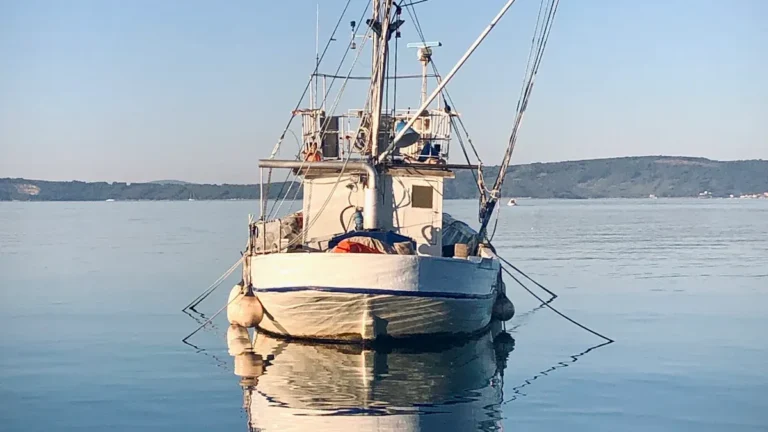 Kayak Fishing vs. Boat Fishing: Which is Better?