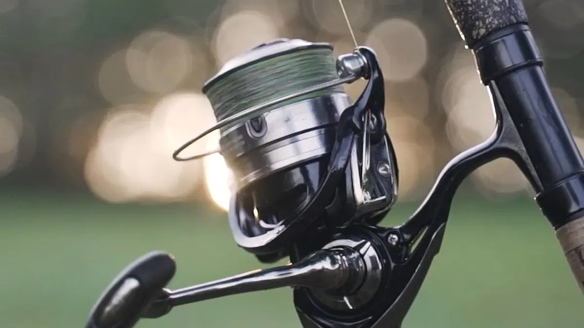 Effective Bait for Big Fish