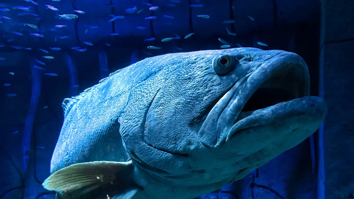 How to Catch Bigger Fish: Proven Tips That Actually Work