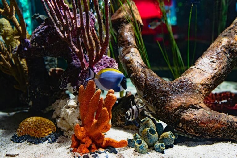 aquarium ph stability factors
