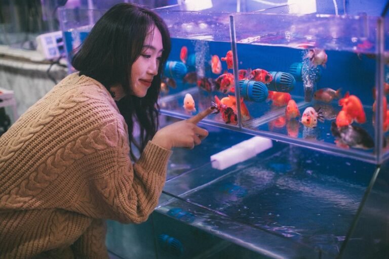 aquarium pump oxygen flow